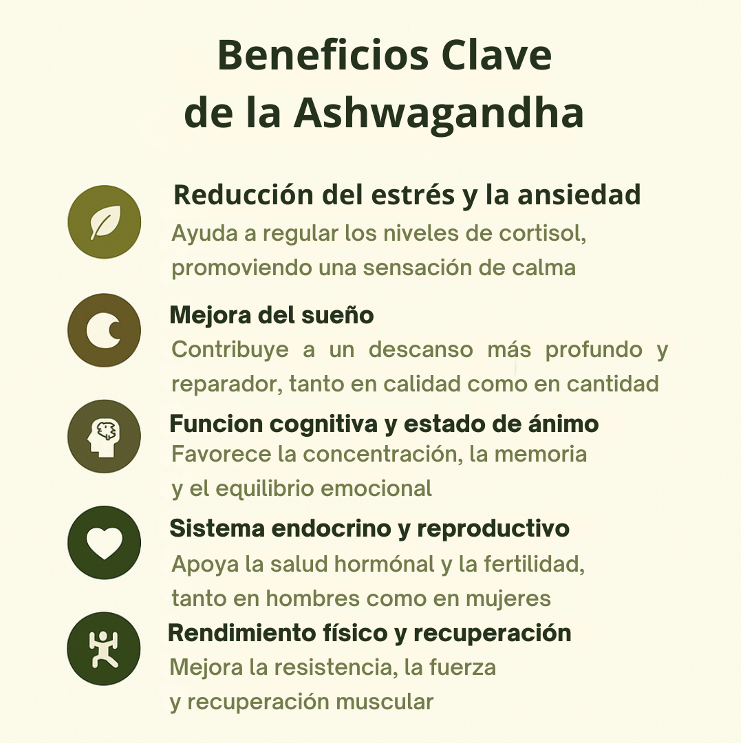 Ashwagandha Plus 60 Cápsulas