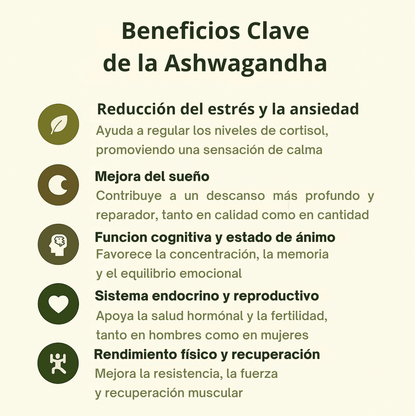 Ashwagandha Plus 60 Cápsulas